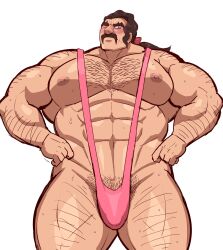 mr. saguaro from pokemon by beatkun1213