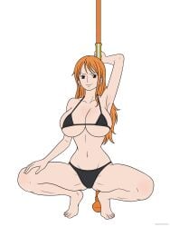 nami (one piece) from one piece