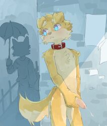 anthro fur gay male_only regcron