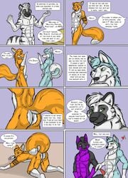 anthro balls canine comic fox fur furry furry-specific_piercing furry_only gay genital_piercing heart heterochromia husky hyena male male_only no_humans penis piercing presenting purple_fur sheath sheath_piercing sunitai text yellow_fur