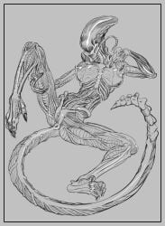 female xenomorph from alien (franchise) by anythinggoes