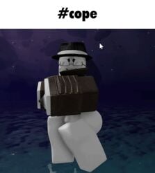 animated arrymix investigative_iris roblox self_upload