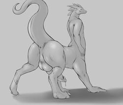 anthro anus ass balls big_balls big_penis dragon erection furry male male_only monochrome nude penis perineum precum presenting presenting_hindquarters raised_tail simple_background smile solo taur tieldraggy