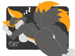 2 Tails Rule 34 Image