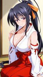 akeno himejima from high school dxd by boosterred99