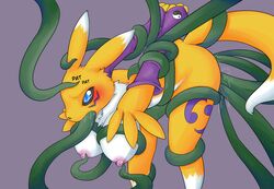 renamon from digimon by basketgardevoir