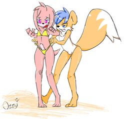 2boys amy_rose bikini black_nose blue_eyes blue_hair crossdressing erection femboy girly grass_gremlin hair male_only penis pink_background pink_eyes plain_background rodent rule_63 sega sonic_(series) squirrel standing white_background