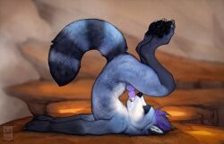 anchee autofellatio blue_body blue_fur blue_tail claws closed_eyes erection feet fingers fur genitals hair hi_res male male_only mammal masturbation nude oral oral_masturbation outside penile penile_masturbation penis procyonid purple_hair raccoon side_view solo tail teeth toes tongue