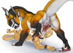 2017 anthro anthro_on_feral anthro_penetrated anus balls bodily_fluids bracelet claws collar duo erection felkin fellatio feral feral_penetrating feral_penetrating_anthro fish forked_tongue furry genitals holding_balls horn jewelry knot leg_on_shoulder looking_back male male/male marine multicolored_body neck_bulge neverneverland nude oral oral_penetration orange_body penetration penile penis penis_in_mouth saliva saliva_on_penis servicing_from_below sex shark simple_background spiked_bracelet spiked_collar spikes sucking tail tan_body teeth tongue tongue_out two_tone_body yellow_eyes zoophilia