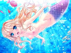 akagi_rio animal blonde_hair blue_eyes breasts bubbles censored fish game_cg long_hair mermaid nipples png pussy underwater water