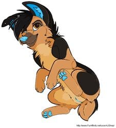 aj ajshep anthro canine feral furry mix mutt shep solo