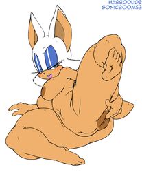 rouge the bat from sega by argento