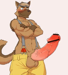 5_fingers anthro balls blue_eyes blush brown_fur canine censored clothing cotton_(artist) erection eyewear fur furry glans goggles humanoid_penis male male_only no_underwear pants penis precum solo standing suspenders sweat topless vein