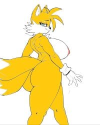 arkman big_ass big_breasts colored fox fox_girl fur furry rule_63 sonic_(series) sonic_the_hedgehog_(series) tails tails_the_fox tailsko white_background