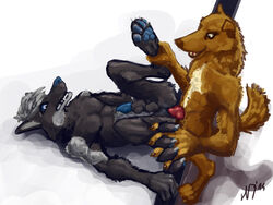 anal anal_sex balls black_fur brown_fur canine_penis diamond_jack digitigrade fur furry furry_only gay gripping hindpaw knot male missionary_position nerevar no_humans paws penetration penis sheath walar