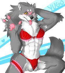 1boy 2013 abs amadeusvirus amber_eyes anthro balls bloody_roar blush bra bulge canine chest_tuft claws crossdressing garter gesture girly male male_only muscles one_eye_closed panties paws scar simple_background solo tongue tongue_out tuft underwear v wink wolf yugo_ogami yugo_the_wolf