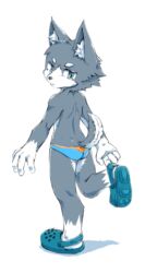 ass back big_eyes black_nose canine crocs fur kemoisumi kemono looking_back male male_only pixiv plain_background shoes simple_background solo underwear white_background young