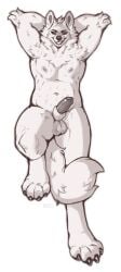 animal_genitalia anthro arm_tuft armpit_hair balls body_hair canid canine cheek_tuft chest_tuft elbow_tuft facial_tuft front_view genitals grin hi_res humanoid_genitalia humanoid_penis hybrid_genitalia hybrid_penis looking_at_viewer male male_anthro mammal monochrome narrowed_eyes navel neck_tuft nipples nude penis seraphictiger sheath sheathed_humanoid_penis simple_background smile solo tuft