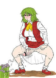 1futa bowtie censored cum ejaculation flower futa_only futanari green_hair intersex kurenai_yuuji masturbation no_humans open_mouth penis plaid plaid_vest red_eyes skirt solo solo_futa team_shanghai_alice touhou vest youkai yuka_kazami yuuka_kazami