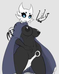 breasts eyebrowless female hollow_knight no_artist no_artist_signature no_source vessel_(species) weaver_(hollow_knight)