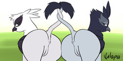 2014 anus ass avian beak duo female feral friendship_is_magic genevieve_(mlp) gryphon half-closed_eyes looking_at_viewer my_little_pony outside presenting presenting_hindquarters pussy raised_tail vulapa wings