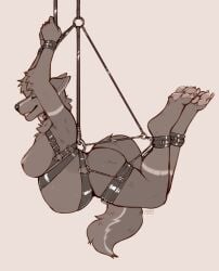 absurd_res anthro arm_tuft belly big_belly big_breasts bondage bondage bound breasts canid canine chest_tuft closed_eyes ears_back elbow_tuft female female_anthro grin hi_res mammal monochrome pawpads pivoted_ears pregnant pregnant_anthro pregnant_female seraphictiger side_view smile solo suspension suspension_bondage tuft