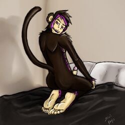 2013 anthro ass barefoot bed blanket brown_fur circumcised ear_piercing fur furry hindpaw human_feet kneeling long_tail looking_at_viewer male male_only monkey open_mouth paws penis piercing pillow pink_eyes pink_fur plantigrade primate shadow shuigetsu smile soles solo toes