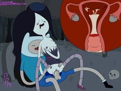 adventure_time black_hair cum cum_in_pussy cum_in_uterus cum_inside female finn_the_human male marceline purpleprawn x-ray