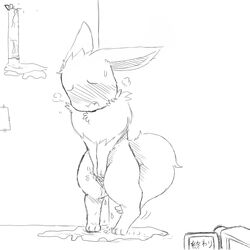 bladder_gauge blush camera desperation door eevee fur furry furry_ears furry_tail japanese_text nintendo no_humans omorashi peeing pokemon pokephilia ruugiaruu standing sweat tail text urine video_games