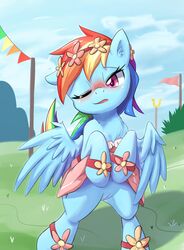 Rainbow Dash (Mlp) Rule 34 Image
