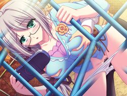 blush breast_grab breasts censored evening female game_cg glasses green_eyes grey_hair highres large_breasts long_hair misuzu_mei open_mouth otakano_konna_ni_kawaii_kanojo_ga_otaku_na_wake_ga_nai panties panty_pull playground psp sex underwear vaginal_penetration white_panties