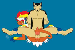 2013 anal anal_sex anthro arms_behind_back balls blush canine fire furry furry_only gay infernape ky ky_(malamute) malamute male mammal monkey nintendo no_humans penetration plain_background pokemon pokemon_(species) primate sex spread_legs spreading tailjob video_games