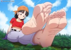 1girls bandana black_eyes black_hair confettish dragon_ball dragon_ball_gt feet feet_fetish foot_fetish light-skinned_female light_skin pan_(dragon_ball) relaxing young young_female younger_female