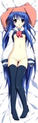 dakimakura dekarunanshi_mohoro_byoudouin_gachiko evening_call fixed takeshi_shinobu