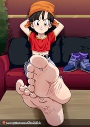 1girls bandana black_eyes black_hair confettish dragon_ball dragon_ball_gt feet feet_fetish foot_fetish light-skinned_female light_skin pan_(dragon_ball) relaxing young young_female younger_female