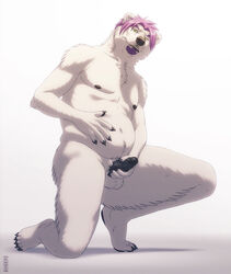 balls bear chubby erection facial_hair goatee hair kannos kneeling looking_at_viewer male male_only masturbation nude penis pink_hair polar_bear solo