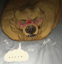 after_sex bear blush cum cum_on_face furry furry_only gay heavy_breathing male male_focus male_only nastyspook no_humans nude original original_character todd_(nastyspook)