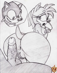 2014 amy_rose anthro anus areola ass balls big_butt breasts erect_nipples erection female hedgehog imminent_sex looking_back male monochrome nipples penis presenting presenting_hindquarters pussy rule34rox sega smile sonic_(series) sonic_the_hedgehog