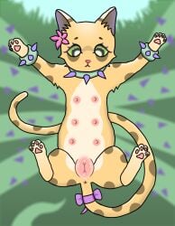anus collar domestic_cat felid felidflora feline felis female feral flower genitals hi_res mammal multi_nipple nipples plant pussy solo spots thorns thorny_ivy vulva
