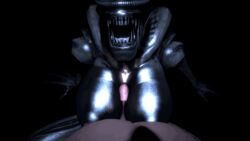 female xenomorph from alien (franchise) by doge (artist)