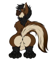 anthro anus ass baroque bbd black_hair black_sclera blue_eyes brown_fur canine fur hair hindpaw looking_back male male_only mammal maned_wolf paws presenting presenting_hindquarters white_fur