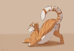 2018 ass beckoning bedroom_eyes caraluca felid female feral fur genitals gesture inviting looking_at_viewer looking_back looking_back_at_viewer mammal narrowed_eyes open_mouth pantherine paws pose presenting presenting_hindquarters pussy raised_tail rear_view seductive signature simple_background solo striped_body stripes tail tan_body tan_fur tiger