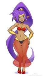 1girls arabian_clothes ass blush choker cleavage clothed clothing female genie hair harem_outfit harem_pants human humanoid jewelry large_breasts long_hair pants ponytail purple_hair revenantart shantae shantae_(character) smooth_skin