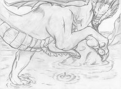 anus barbs claws delphine dragon erection feral grin hindpaw looking_back male male_only monochrome paws penis presenting raised_leg raised_tail rock scalie solo standing temeraire temeraire_(series) water whiskers wings