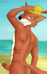 balls beach beach_nudity beige_abs beige_pecs boner cock dick disney fox horny male_only naked naked_in_public nudity penis public public_nudity red_fur robin_hood rule34 sand sea smile smiling smirking sunblastcoyote