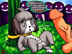 animal_crossing anus balls bound canine canine collar digby_(animal_crossing) erection gay human imminent_rape linklink male mammal nintendo penis vein video_games