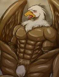 2013 abs anthro armlets avian beak biceps blue_eyes blush brown_feathers cloaca cuntboy eagle egg egg_laying feathers furry intersex muscles nipples nude open_mouth pecs plain_background ryuukikeito sitting solo spreading tongue white_feathers wings