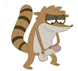 anthro balls big_penis circumcised erection furry holding_penis male male_only penis raccoon regular_show rigby solo tenderule34