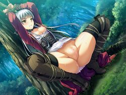 angry areolae arms_up ass bondage breasts breasts_out censored clenched_teeth darklord_(game) female forest game_cg grey_hair highres legs long_hair looking_away natsuhiko nipples no_panties pussy rope small_breasts solo squatting sweat thighs trees