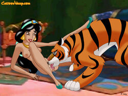 2014 aladdin big_breasts black_hair breasts cartoonvalley.com clothing cunnilingus disney disney_princess ear_piercing female feral feral_on_female fur hair helg human interspecies male nipples oral piercing princess_jasmine pussy rajah tiger yellow_eyes zoophilia